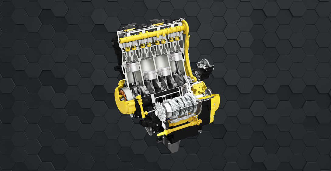 A BELEZA DA EVOLUÇÃO DO MOTOR